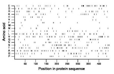 amino acid map