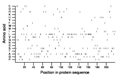 amino acid map