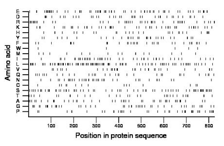 amino acid map