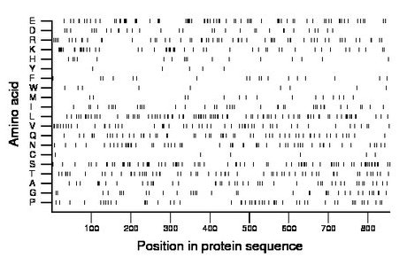 amino acid map