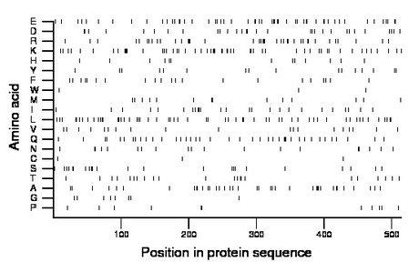 amino acid map