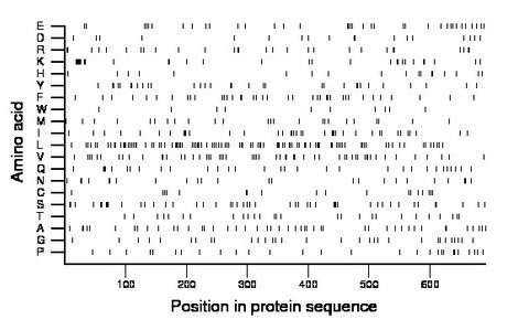 amino acid map