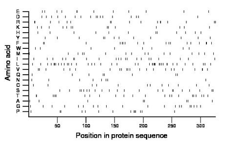 amino acid map