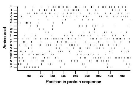 amino acid map