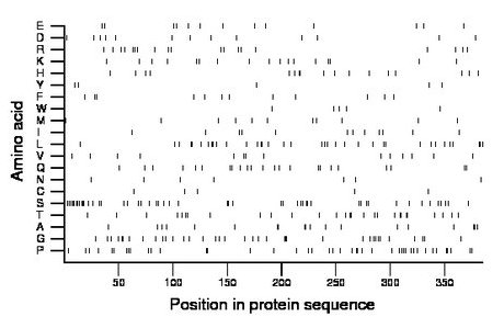 amino acid map