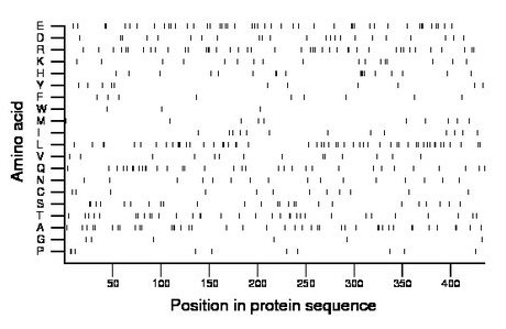 amino acid map