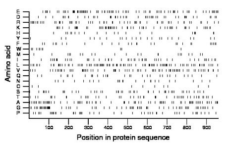 amino acid map