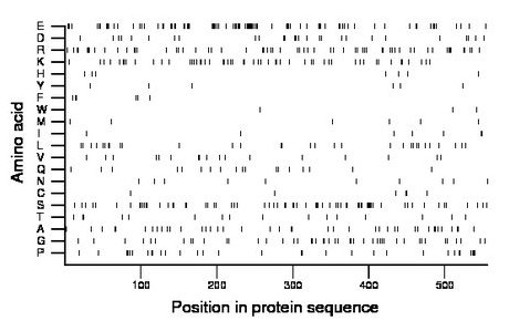 amino acid map