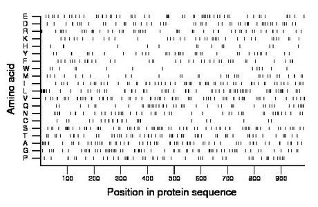 amino acid map