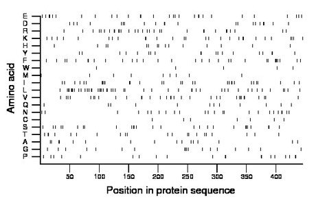 amino acid map