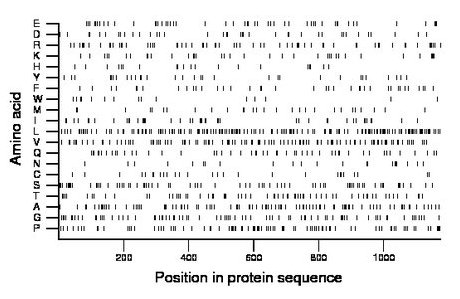 amino acid map