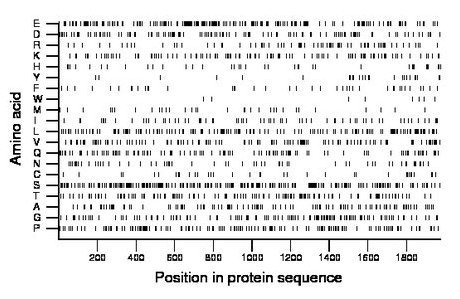 amino acid map