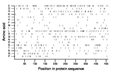 amino acid map