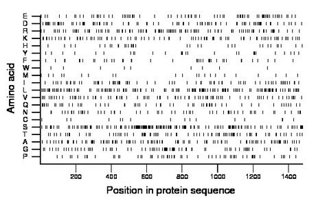 amino acid map