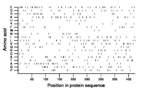 amino acid map