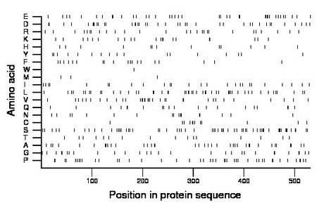 amino acid map