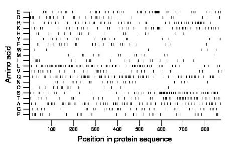 amino acid map