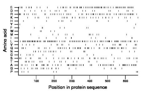 amino acid map