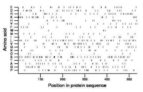 amino acid map