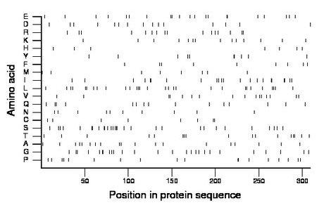 amino acid map