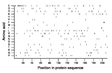 amino acid map