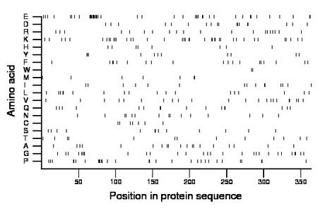 amino acid map