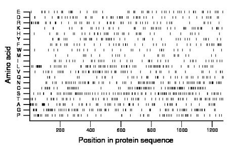 amino acid map