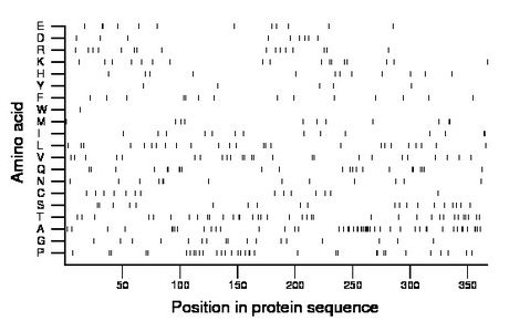 amino acid map