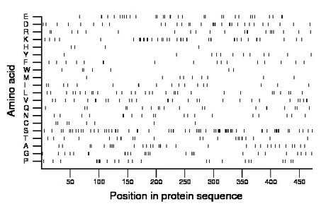 amino acid map