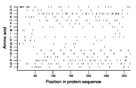 amino acid map