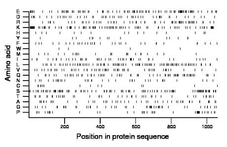 amino acid map