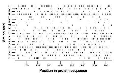 amino acid map