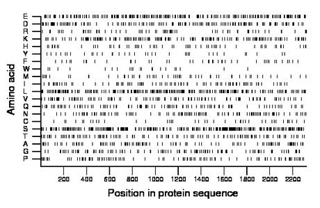 amino acid map