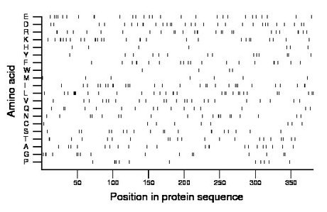 amino acid map