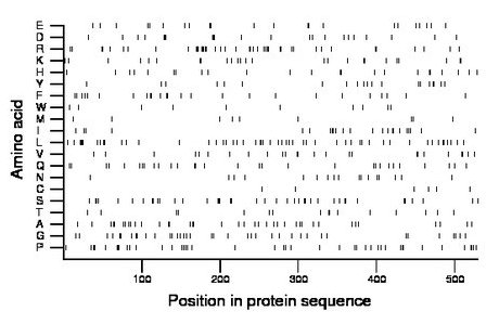 amino acid map