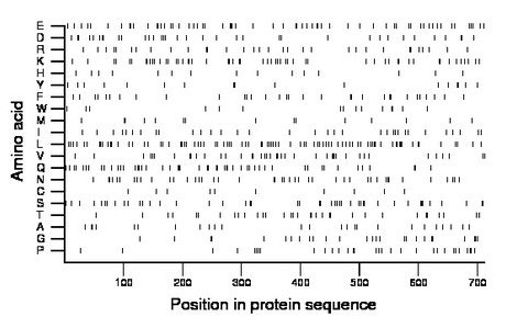 amino acid map