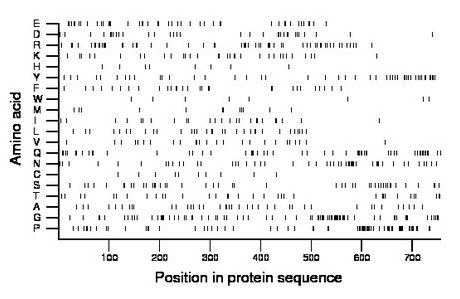 amino acid map