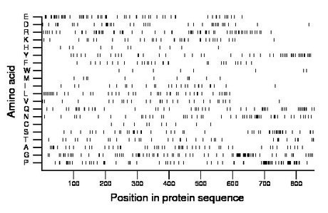 amino acid map