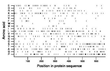 amino acid map