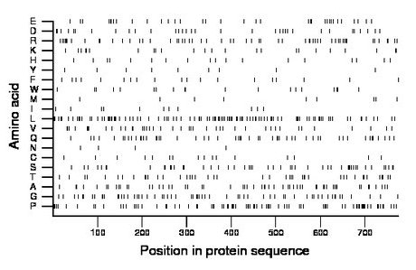 amino acid map