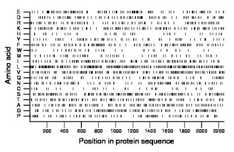 amino acid map