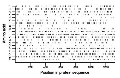 amino acid map