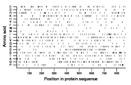 amino acid map