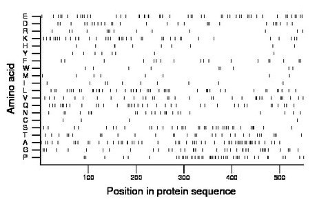 amino acid map