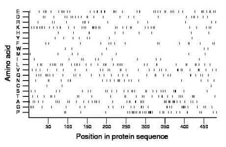 amino acid map