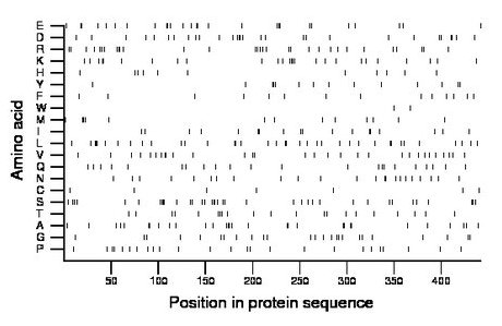 amino acid map