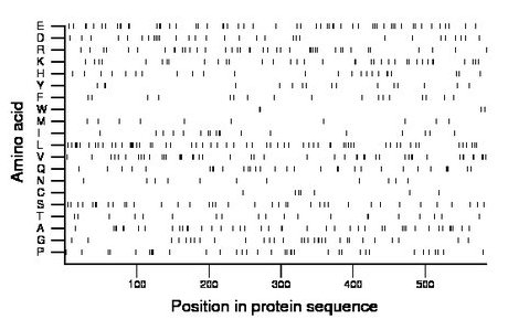 amino acid map