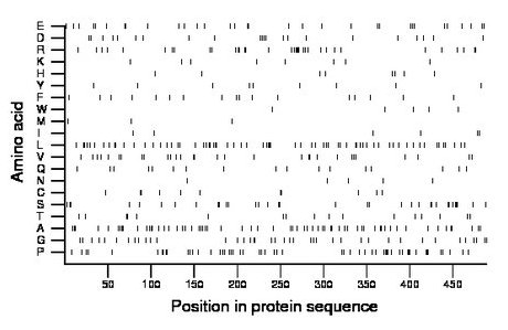 amino acid map