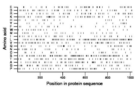 amino acid map