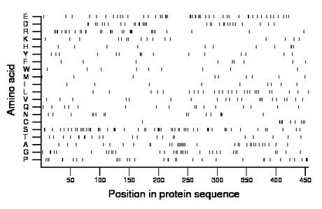 amino acid map